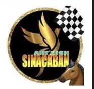 Team Sinacaban, Misamis Occidental Win ACAPI Online Chess Tournament 