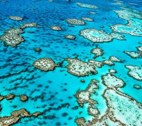 GREAT BARRIER REEF MARINE PARK, AUSTRALIA